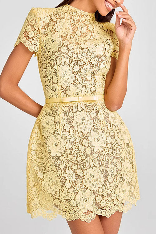 Rowangirl  Sheer Lace Round Neck Miniskirt Dress