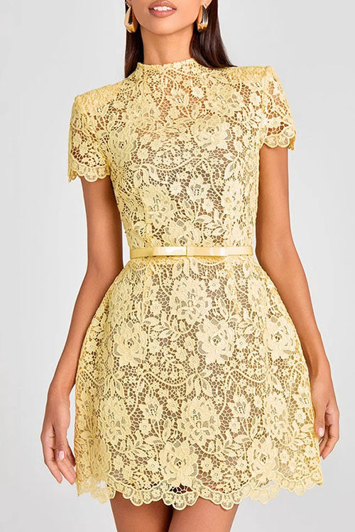 Rowangirl  Sheer Lace Round Neck Miniskirt Dress