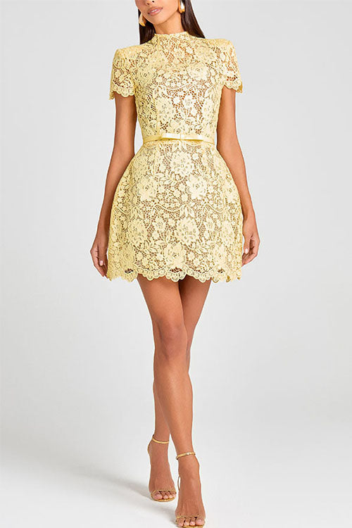 Rowangirl  Sheer Lace Round Neck Miniskirt Dress