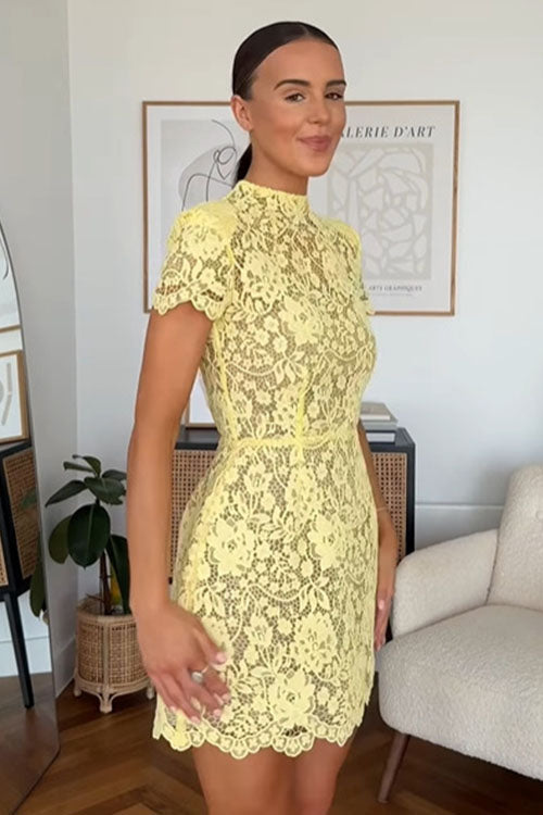 Rowangirl  Sheer Lace Round Neck Miniskirt Dress