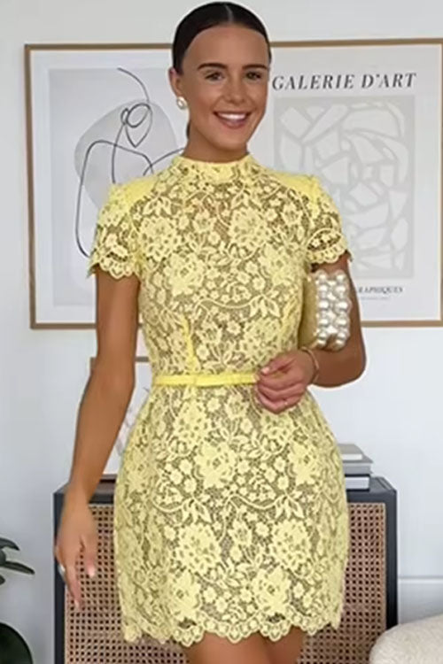 Rowangirl  Sheer Lace Round Neck Miniskirt Dress