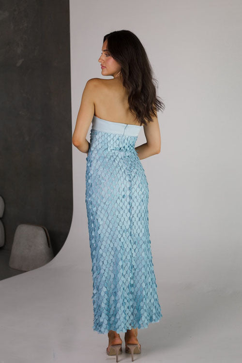 Rowangirl  Sequined Backless Long Dress