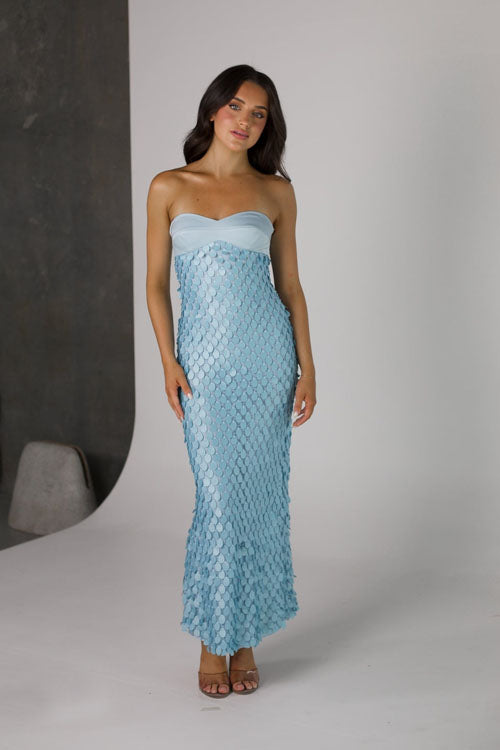 Rowangirl  Sequined Backless Long Dress