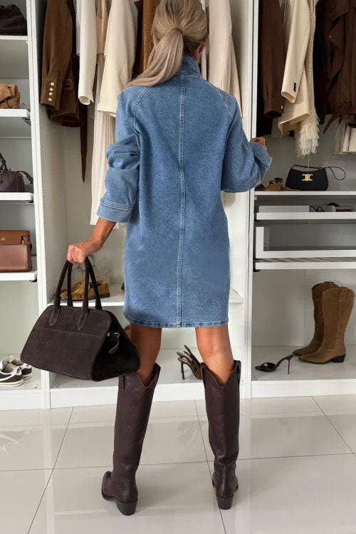 Rowangirl  Denim Long-Sleeved Dress