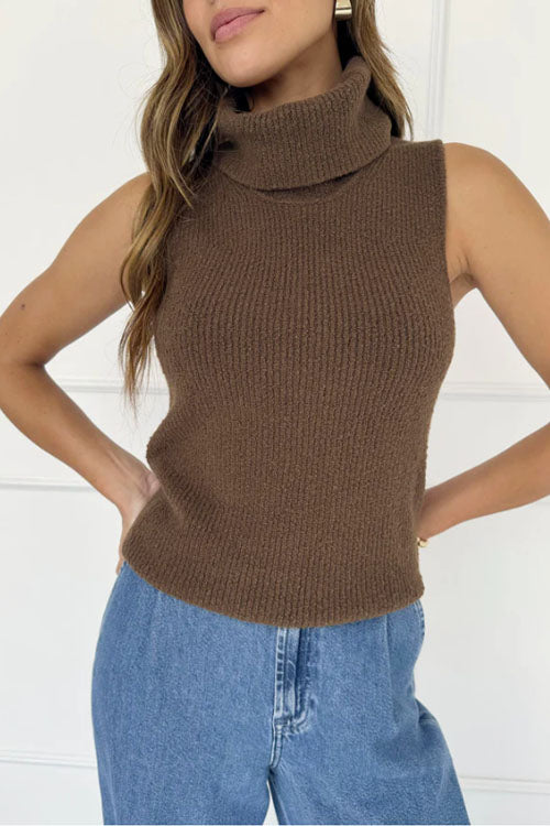 Rowangirl  Multicolor Turtleneck Sleeveless Sweater