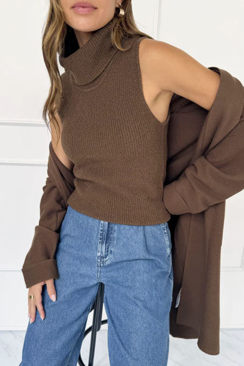 Rowangirl  Multicolor Turtleneck Sleeveless Sweater