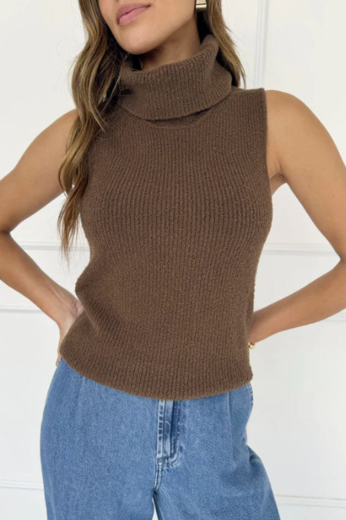 Rowangirl  Multicolor Turtleneck Sleeveless Sweater