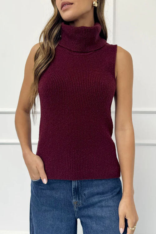 Rowangirl  Multicolor Turtleneck Sleeveless Sweater
